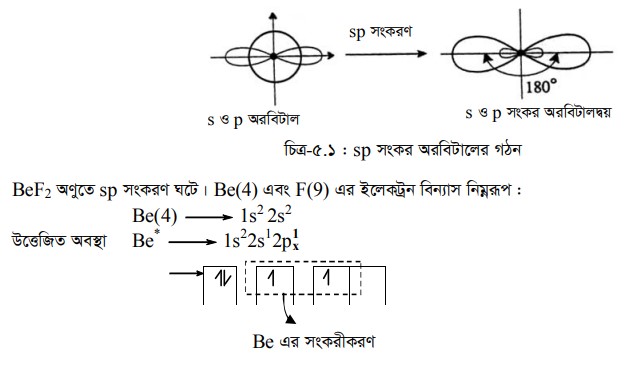 সংকর অরবিটাল