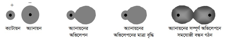 পোলারিটি ও পোলারায়ন
