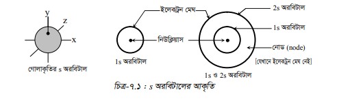 অরবিট ও অরবিটাল
