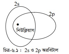 অরবিটাল